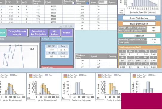 Process simulation software