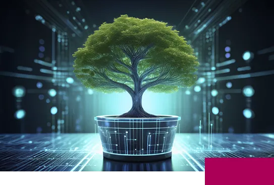 Digital solutions for waste