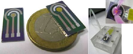 Desarrollo de dispositivos Lab-On-a-Chip Desarrollo de dispositivos Lab-On-a-Chip