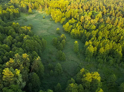Medio ambiente
